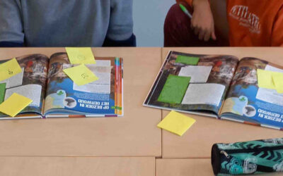 Effectief begrijpend leesonderwijs geven